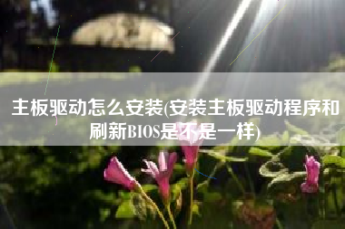主板驱动怎么安装(安装主板驱动程序和刷新BIOS是不是一样)