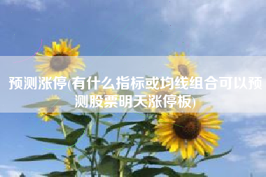 预测涨停(有什么指标或均线组合可以预测股票明天涨停板)