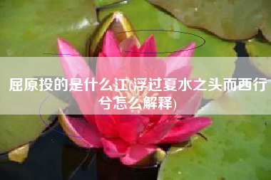 详细阅读:屈原投的是什么江(浮过夏水之头而西行兮怎么解释) 屈原投的是什么江(浮过夏水之头而西行兮怎么解释)