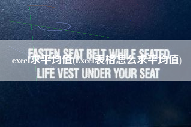 excel求平均值(Excel表格怎么求平均值)