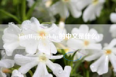 birt(Happybirhday的中文是什么)