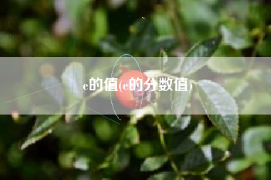 e的值(e的分数值)