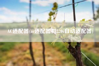 AC适配器(ac适配器和220v自动适配器)