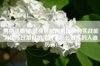 男格斗刷图(健身房肌肉男街头的实战能力比练过散打的平时不怎么锻炼的人谁厉害)