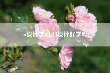 ui设计学习(UI设计好学吗)