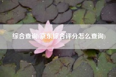 综合查询(京东综合评分怎么查询)
