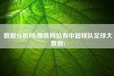 数据分析网(哪些网站有中超球队足球大数据)