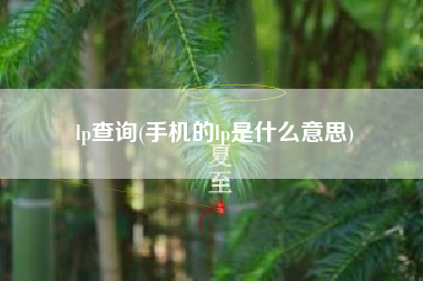lp查询(手机的lp是什么意思)