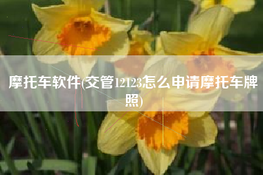 摩托车软件(交管12123怎么申请摩托车牌照)