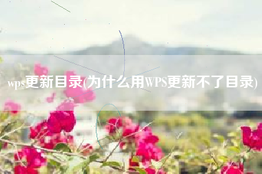 wps更新目录(为什么用WPS更新不了目录)
