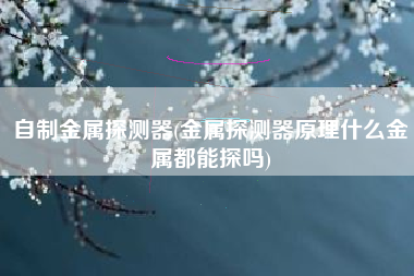 自制金属探测器(金属探测器原理什么金属都能探吗)