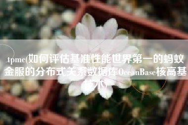 tpmc(如何评估基准性能世界第一的蚂蚁金服的分布式关系数据库OceanBase核高基技术)