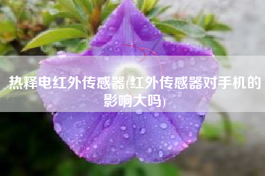热释电红外传感器(红外传感器对手机的影响大吗)