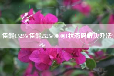 佳能C5255(佳能2525e000001状态码解决办法)