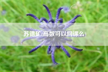 苏德矿(高数可以网课么)