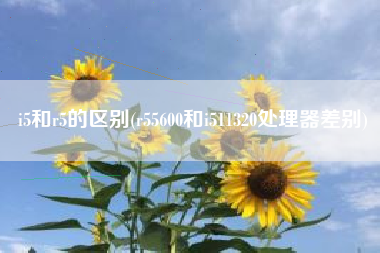 i5和r5的区别(r55600和i511320处理器差别)