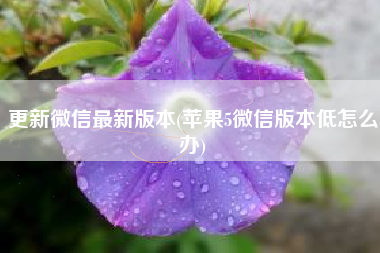更新微信最新版本(苹果5微信版本低怎么办)