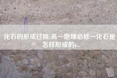 化石的形成过程(高一地理必修一化石是怎样形成的)