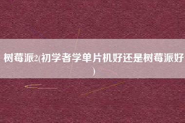 树莓派2(初学者学单片机好还是树莓派好)