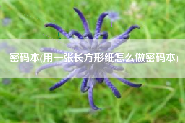 密码本(用一张长方形纸怎么做密码本)