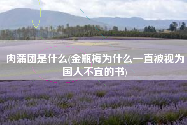 肉蒲团是什么(金瓶梅为什么一直被视为国人不宜的书)