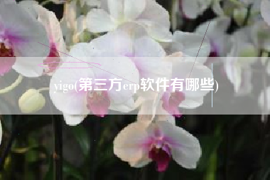 yigo(第三方erp软件有哪些)