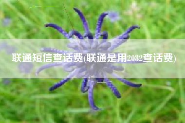联通短信查话费(联通是用2082查话费)