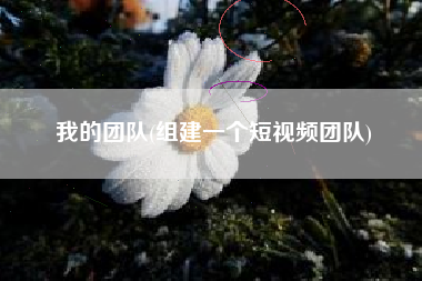 我的团队(组建一个短视频团队)