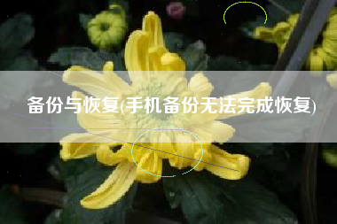 备份与恢复(手机备份无法完成恢复)