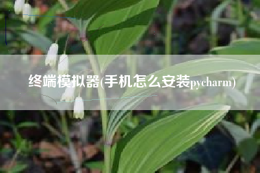终端模拟器(手机怎么安装pycharm)