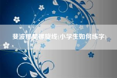 斐波那契螺旋线(小学生如何练字)