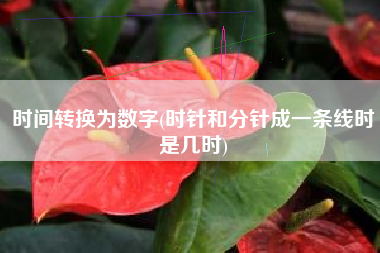 时间转换为数字(时针和分针成一条线时是几时)