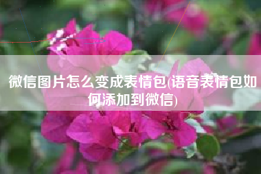 微信图片怎么变成表情包(语音表情包如何添加到微信)