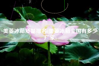 美菱冰箱质量排名(美菱冰箱全国有多少厂家)