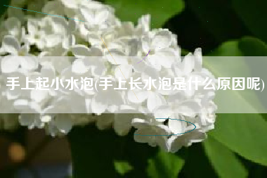手上起小水泡(手上长水泡是什么原因呢)