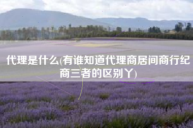 代理是什么(有谁知道代理商居间商行纪商三者的区别丫)