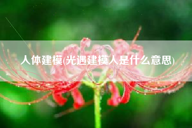人体建模(光遇建模人是什么意思)