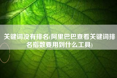 关键词没有排名(阿里巴巴查看关键词排名指数要用到什么工具)