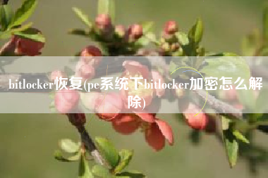 bitlocker恢复(pe系统下bitlocker加密怎么解除)