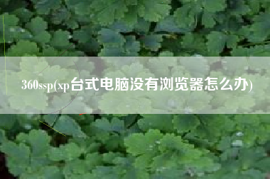 360ssp(xp台式电脑没有浏览器怎么办)