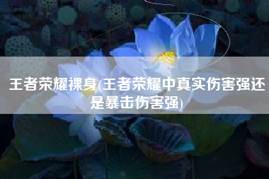 王者荣耀裸身(王者荣耀中真实伤害强还是暴击伤害强)