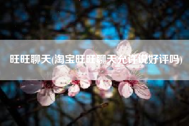 旺旺聊天(淘宝旺旺聊天允许说好评吗)