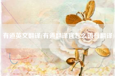 详细阅读:有道英文翻译(有道翻译官怎么语音翻译) 有道英文翻译(有道翻译官怎么语音翻译)