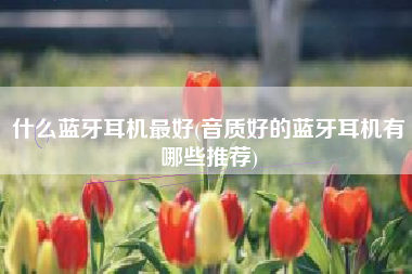 什么蓝牙耳机最好(音质好的蓝牙耳机有哪些推荐)