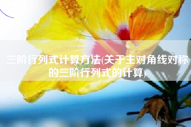 三阶行列式计算方法(关于主对角线对称的三阶行列式的计算)
