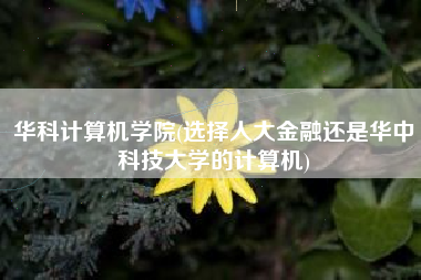 华科计算机学院(选择人大金融还是华中科技大学的计算机)