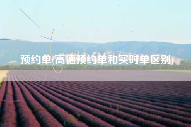 预约单(高德预约单和实时单区别)