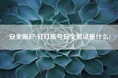 安全账户(钉钉账号安全验证是什么)
