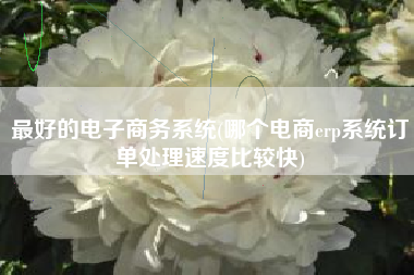 最好的电子商务系统(哪个电商erp系统订单处理速度比较快)