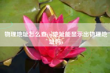 物理地址怎么查(ip地址能显示出物理地址吗)